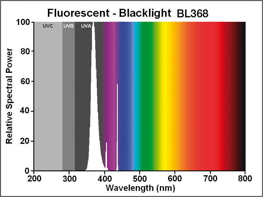 Blacklight BL350 Linear T8 | Sylvania Lighting Solutions